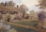 James matthews Ellens Green,near Cranleigh,Surrey (mk37) oil on canvas